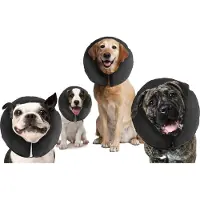 SmartaSaker Pro Collar - M