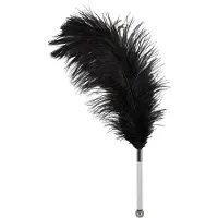 Bad Kitty Feather Wand
