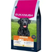Eukanuba Dog - Life Care Junior - Large Breed - 12 kg