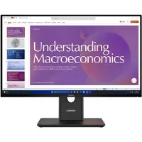 Lenovo ThinkVision T24d-40 - LED-skærm - 24 (23.8 til at se) - 1920 x 1080 Full HD (1080p) @ 120 Hz - IPS - 250 cd/m² - 1500:1 - 4 ms - HDMI, DisplayPort, USB-C - højtalere - formørkelsessort