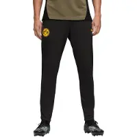 Puma Borussia Dortmund Training Pants Men, Sport, Black/Loden Green, L