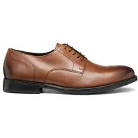 Geox Barberigo Sko
