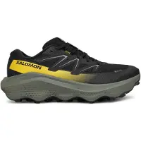 Salomon Ultra Flow 2 Gore-tex Trailsko