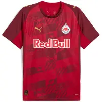 Puma FC Red Bull Salzburg 25/26 Third Jersey Men, Sport, Dark Cherry/Metallic Gold, M