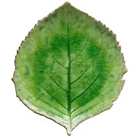 Costa Nova Riviera Hydrangea fad Tomato, 22 cm
