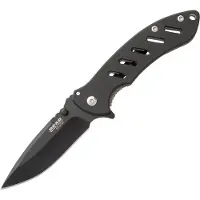 Bear Edge Brisk Framelock Black