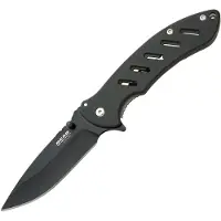 Bear Edge Brisk Framelock Black
