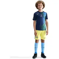 Nike Tottenham Trænings T-Shirt Dri-FIT Academy Pro Pre Match 3. - Navy/Gul Børn - , størrelse M: 137-147 cm