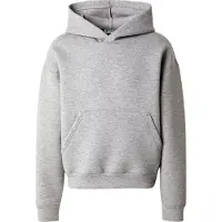 Weekday Sweatshirt 'Simon' grå