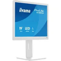 Iiyama 19" B1980S-W1 - 1280x1024 - 75Hz - TN