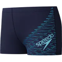 Speedo Medley Logo Badeshorts