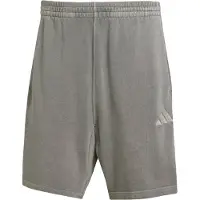 Adidas Sportsbukser 'All Szn' stone