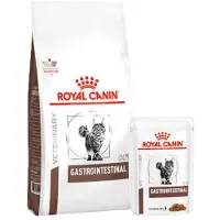 Royal Canin Gastro Intestinal Cat - 4 kg + 12 x 85 gr