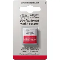 Winsor & Newton Professional Watercolor Half Pan Paynes Gray
