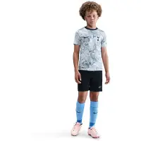Nike Tottenham Trænings T-Shirt Dri-FIT Academy Pro Pre Match - Hvid/Grå/Navy Børn - , størrelse XS: 122-128 cm