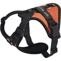 JULIUS K-9 Longwalk Light Hundeseletøj