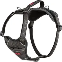 Company of animals Anatomy Harness - Grå - S