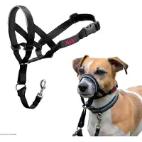 Company of animals Headcollar - Black - Størrelse 1