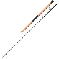 Savage Gear Fury Sg6 Halibut Baitcastingstang