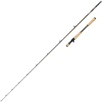 Abu Garcia Beast Pro2 Baitcastingstang