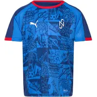 Puma Neymar Jr Playmaker Sweatshirt