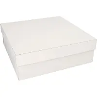 Papstar 18856, Pap, Hvid, 300 mm, 300 mm, 100 mm, 217 g