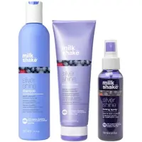 Milk shake Silver Shine XL Set - 300+250+100ml