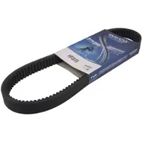 DAYCO Hp3038 Drivrem