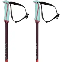 Völkl Phantastick 18mm Spadserestokke