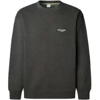 Pepe Jeans Pepe Jeanstil mænd. PM5800031 Terry Crew sweatshirt grå (M), Casual, Bomuld