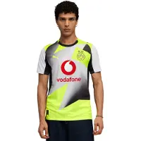 Puma Borussia Dortmund 25/26 Replica Away Jersey Men, Sport, Silver Mist/Yellow Alert, L