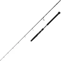Savage Gear Defiance Sg2 Light Let Jiggingstang