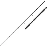 Savage Gear Defiance Sg2 Jigging Stang