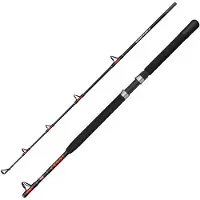 Penn Warfare Ii Boat Jigging Stang