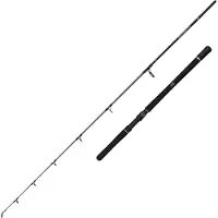 Penn Squadron Iv Jigging Stang