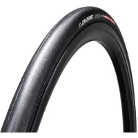 Chaoyang Viper Kv Dino Skin Tubular 700c X 23 Landevejsdæk