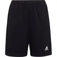 Adidas Entrada 22 Training Shorts