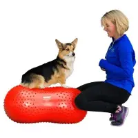 FitPAWS Trax Peanut - Rød