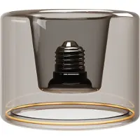 Ztahl 1900k Smoky Ghost Line Led Recessed Donut 120x90 Mm 6w Pære