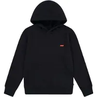 Levi's Kids Sweatshirt sort
