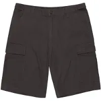 Element Legion Wk Cargo Shorts