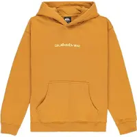 Quiksilver Salt Water Graphic Hættetrøje