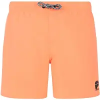Protest Culture Badeshorts