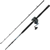 Penn Warfare Ii Boat Lwlh Jigging-kombination
