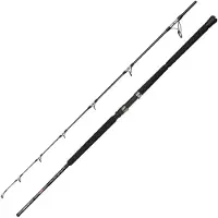 Penn Ally Ii Offshore Jigging Stang