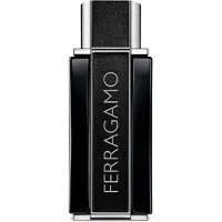 Salvatore Ferragamo Sublime Leather Eau de parfum 100 ml
