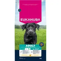 Eukanuba Adult Large kylling hundefoder