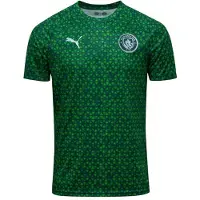 Puma Manchester City Trænings T-Shirt Pre Match - Grøn Børn - , størrelse 176 cm
