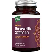 Nature Provides Boswellia Serrata 180 kapslar