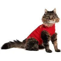 Medical Pet Shirt kat - rød - XS